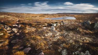 Wandern im Fulufjället Nationalpark