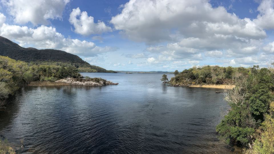 Blick über Muckross Lake im Killarney Nationalpark